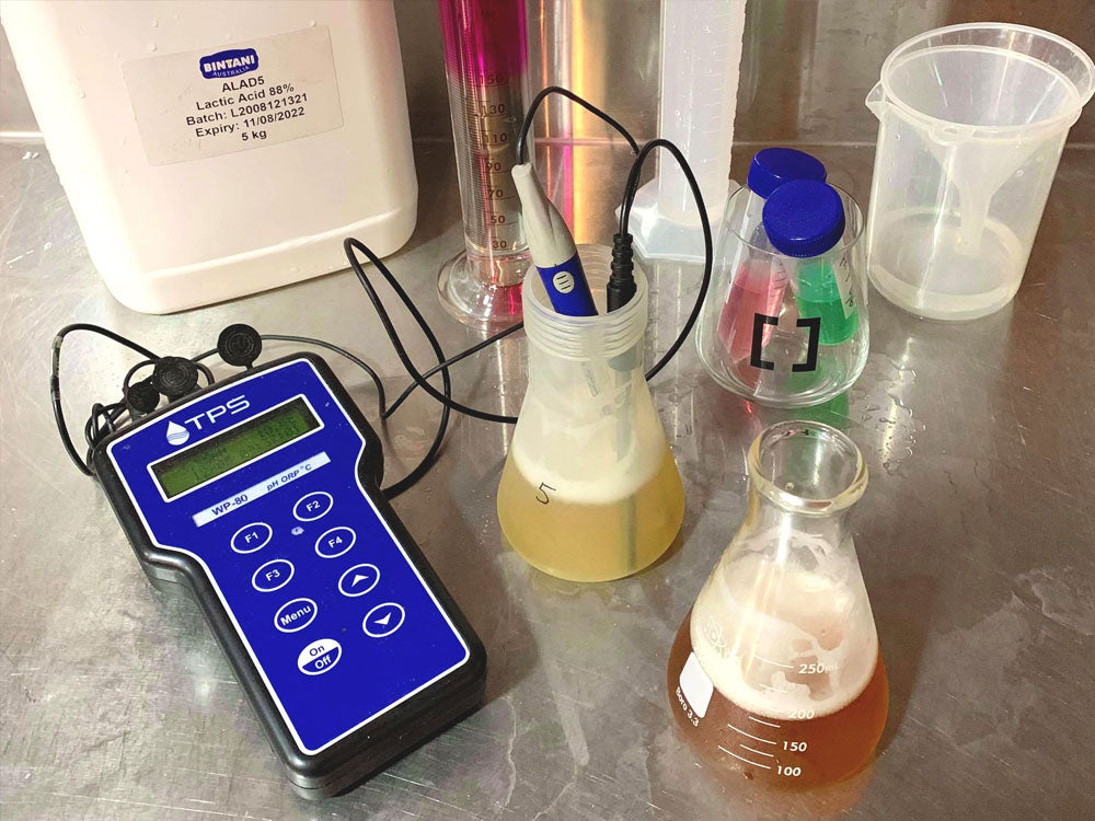 Kettle Sour Beer: How Quick Sours Are Made