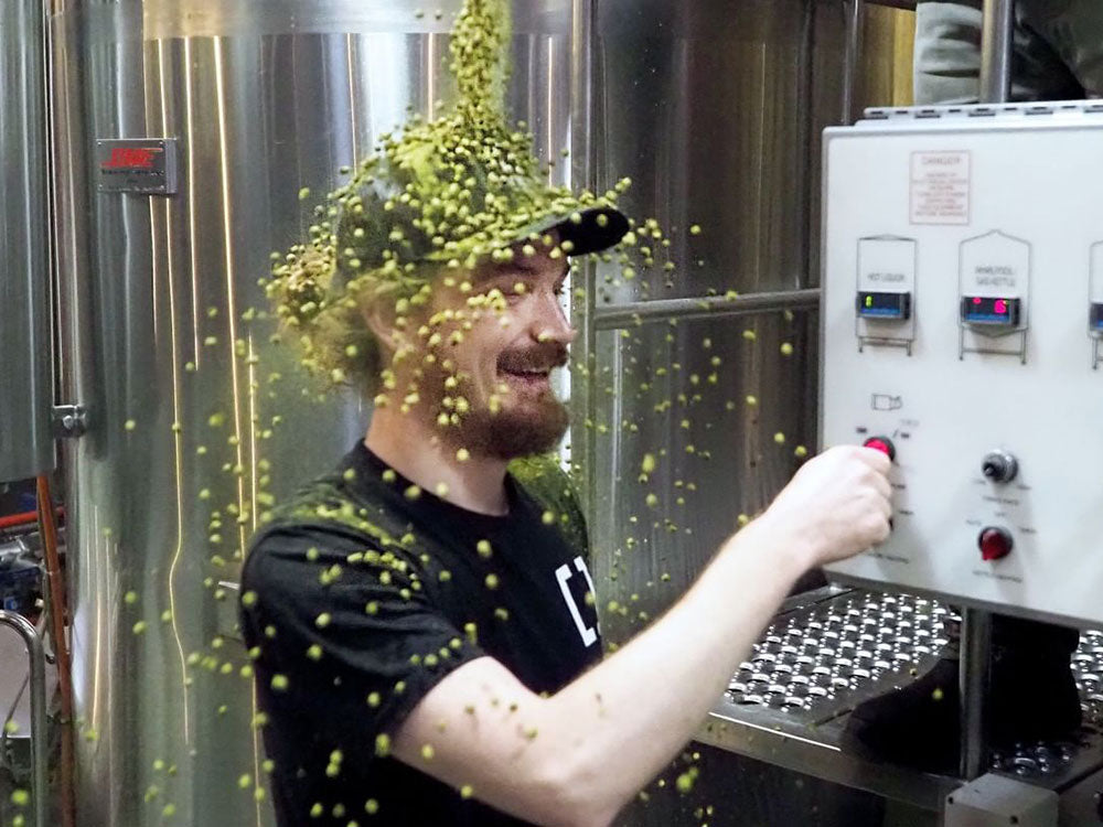 Myrcene in Beer: The Terpene Behind Fresh Hop Aroma
