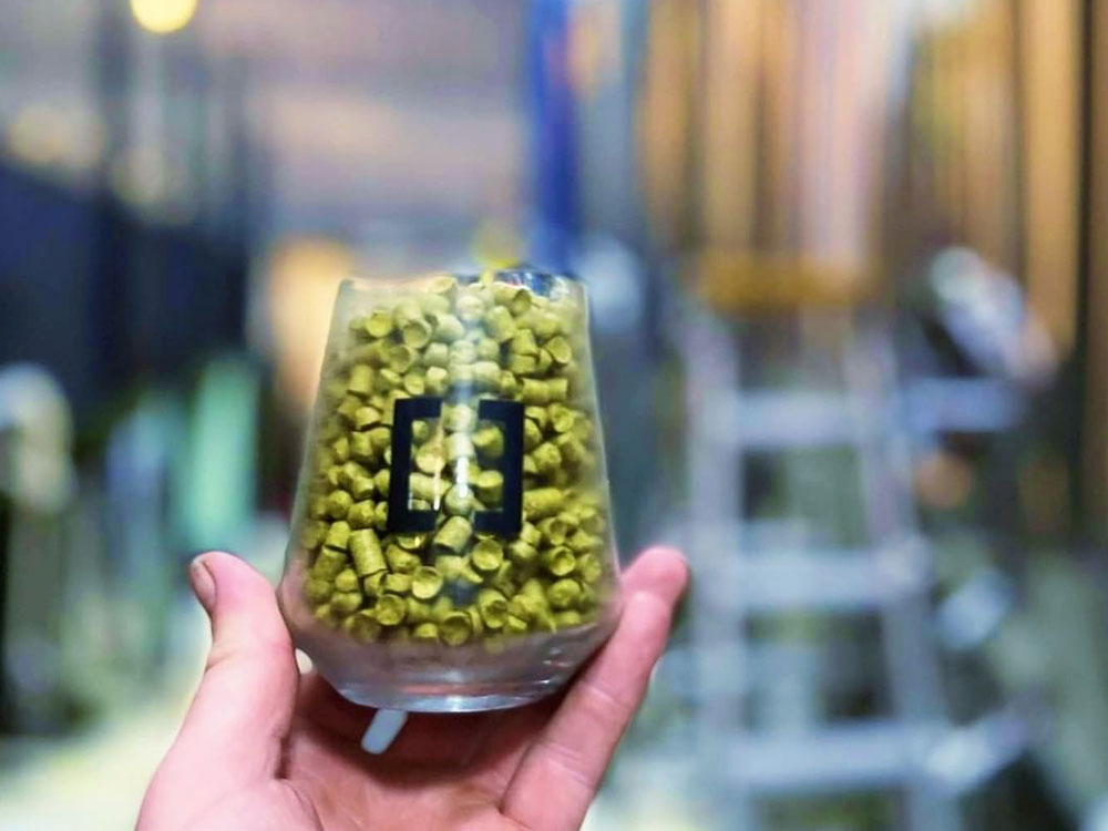Terpenes in Beer: An Introduction to Hop Aroma
