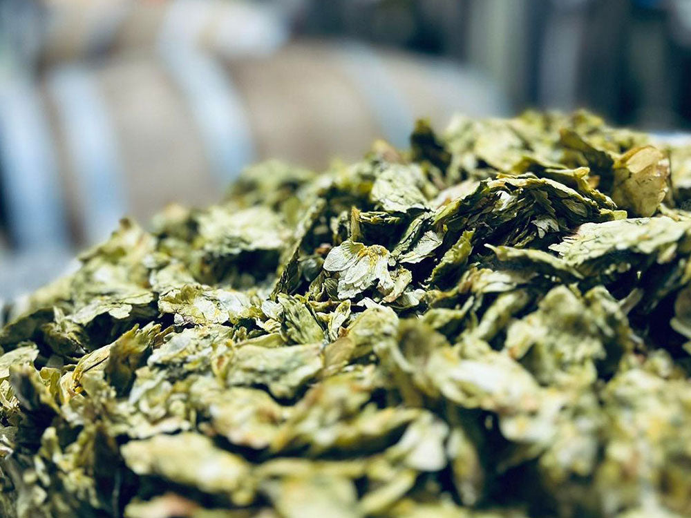 Aged Hops in Sour Beer: Less Bitterness, More Tradition