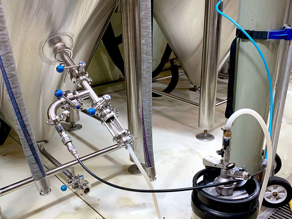 Biofine: How Brewers Clarify Beer Without Gelatine