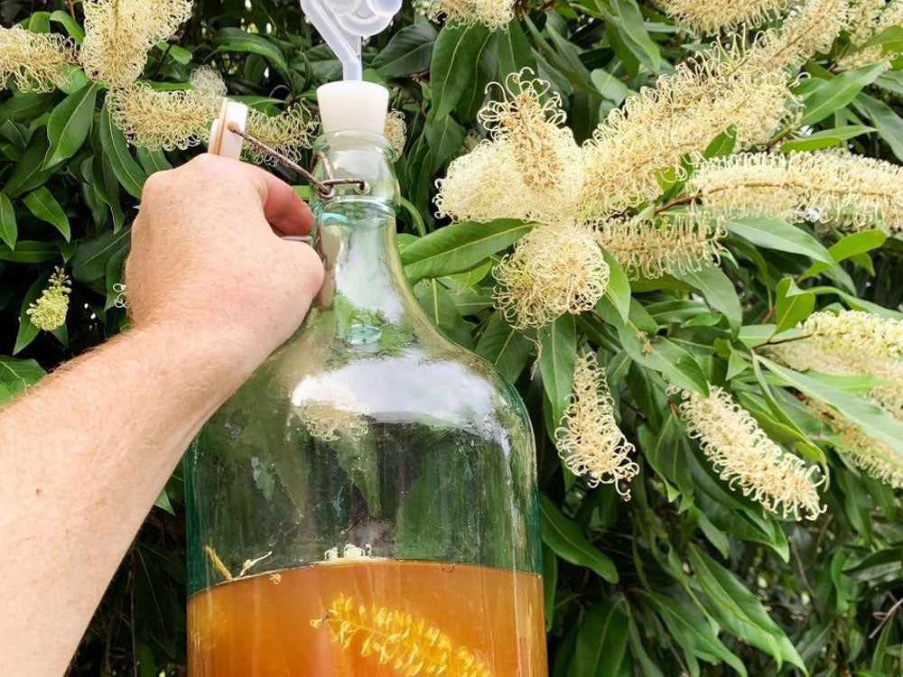 Bioprospecting: Capturing Wild Yeast for Beer