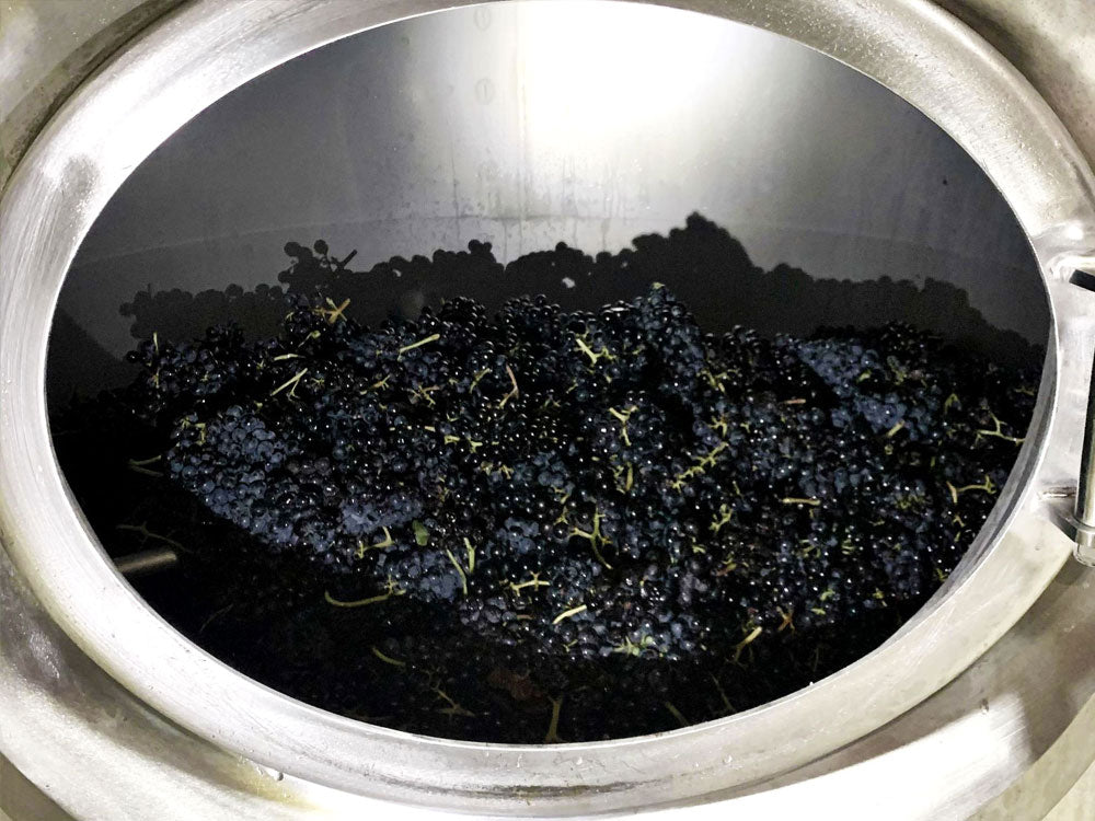 Carbonic Maceration: Using Winemaking Techniques in Beer