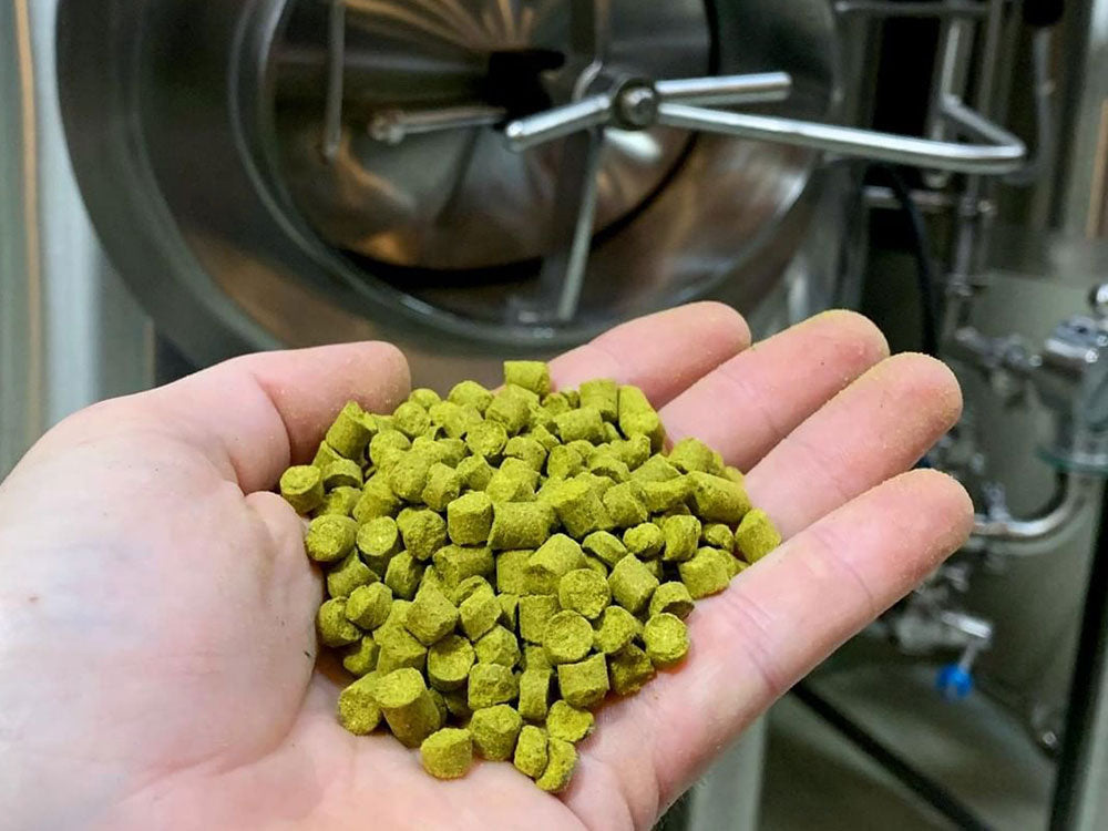 Dip Hopping: A Japanese Technique for Bigger Hop Aroma