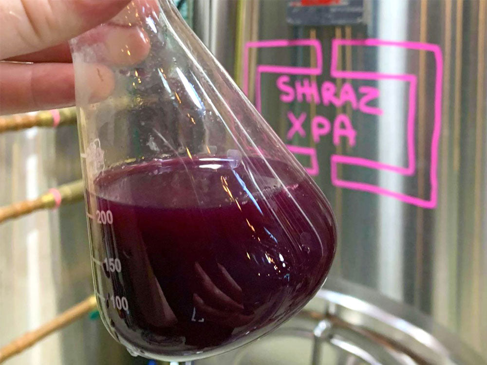 Shiraz XPA: Brewing a Beer and Wine Hybrid