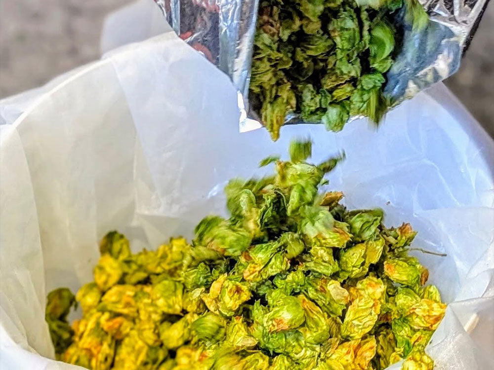Fresh Hop Beer: Brewing with Hops Straight from the Farm