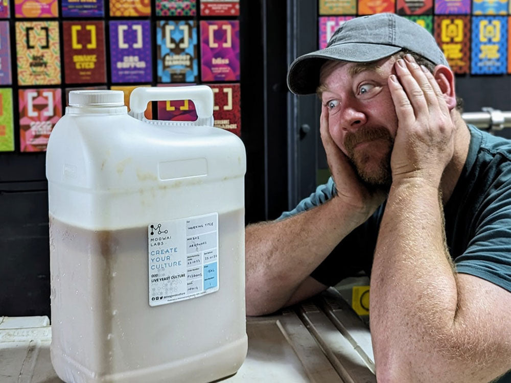 Mogwai Cultures: Exploring New Yeast for Better Beer