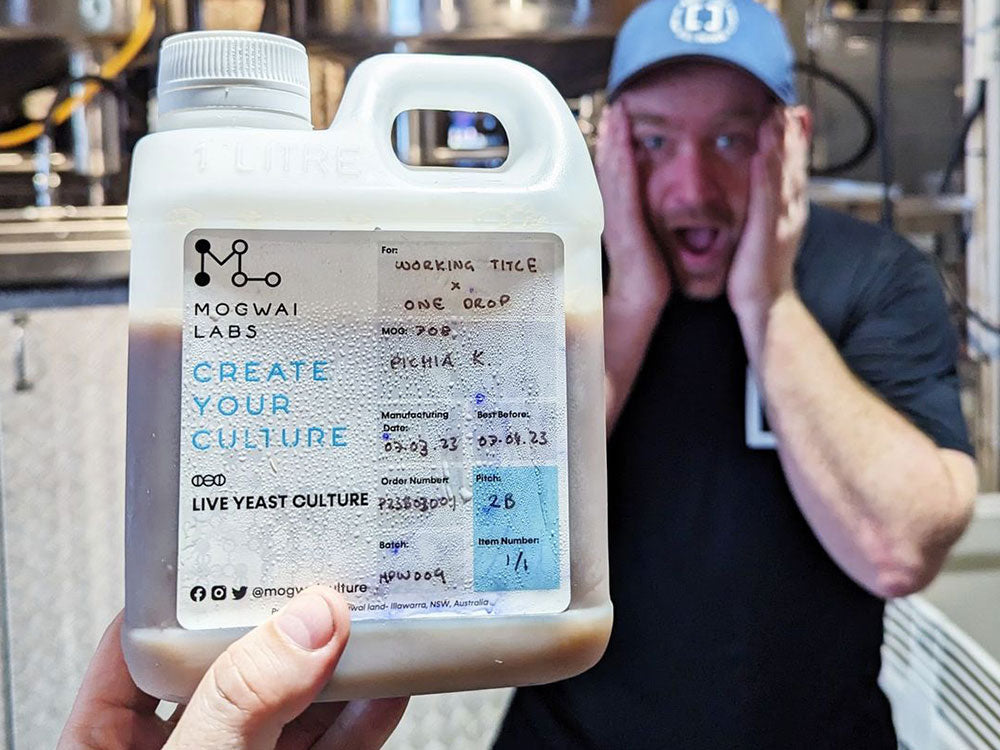 Pichia Yeast: Unlocking Thiols in Hazy IPA
