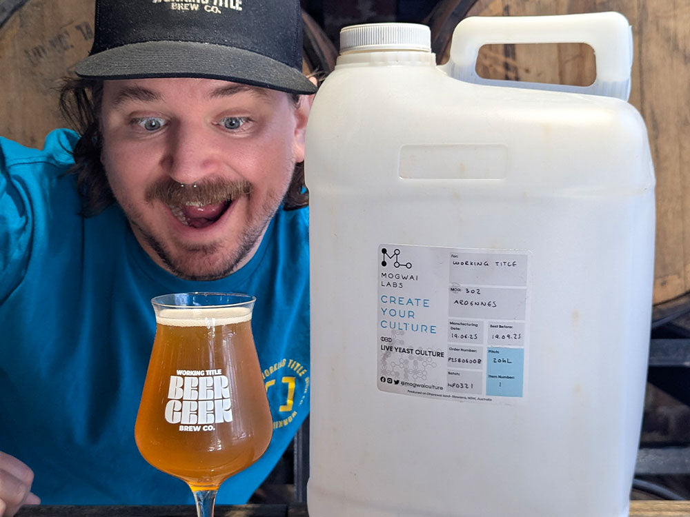 Belgian Blonde Ale: Yeast, Esters and a Deceptively Dry Finish