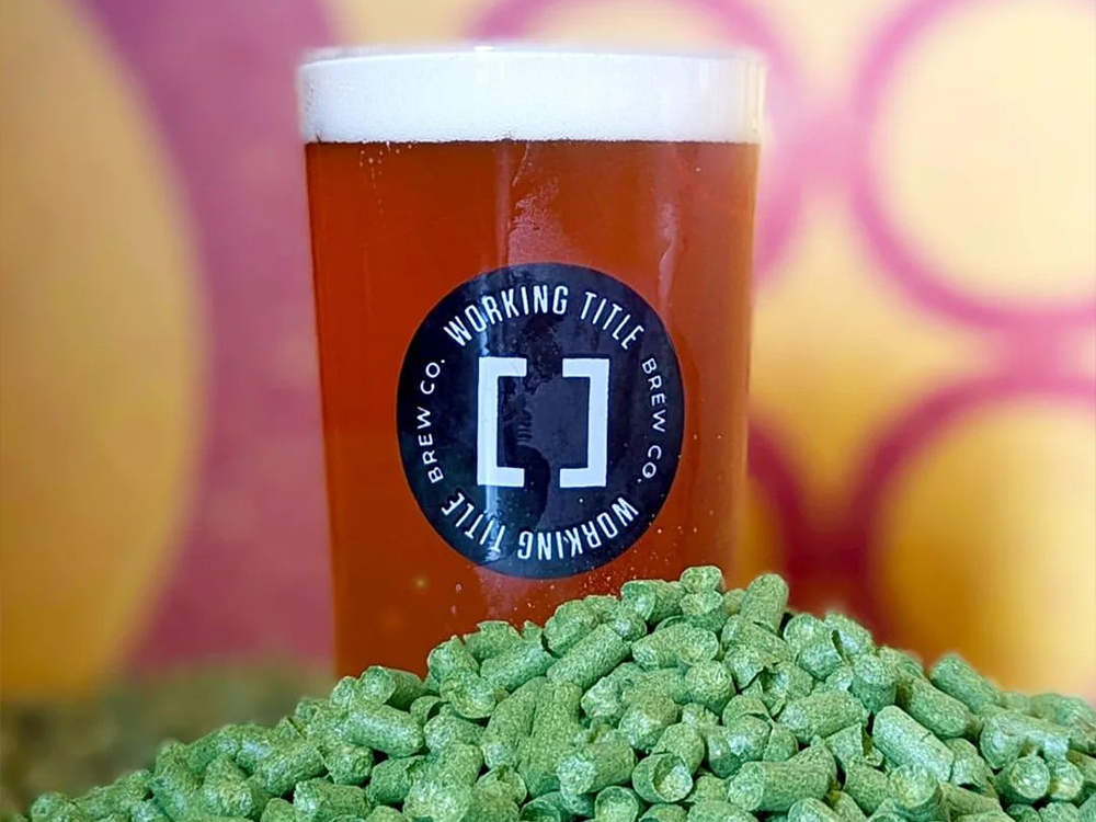 West Coast IPA: From Classic American IPA to Modern Westie